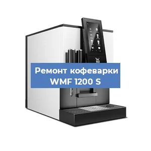 Чистка кофемашины WMF 1200 S от кофейных масел в Екатеринбурге